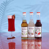 Cocktail Essentials Syrup Set